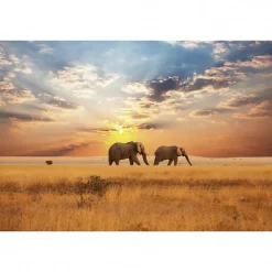 New Scenolia Tableau toile XXL en kit Savane Africaine 90 x 60 cm - Toile textile sans PVC