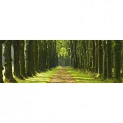 Clearance Scenolia Tableau toile XXL en kit Un Dimanche À La Campagne 90 x 30 cm - Toile textile sans PVC