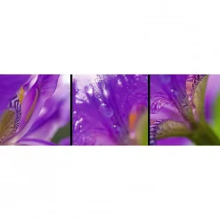 Scenolia Tableau verre acrylique Messagere 130 x 40 cm - Décoration murale photo pour la maison* Tableau Déco
