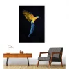 Scenolia Tableau verre acrylique Vol De Perroquet 90 x 130 cm - Décoration murale photo pour la maison