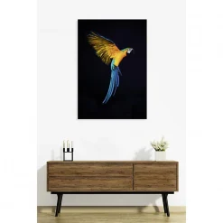 Scenolia Tableau verre acrylique Vol De Perroquet 90 x 130 cm - Décoration murale photo pour la maison