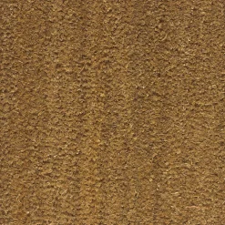 Best Décoweb Tapis Brosse Coco - Spécial PMR-ERP - Ecru - Ep, 23 mm - Rouleau de 2m x 4m