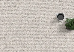 Best The Carpet Tapis moderne uni anti-salissures, Beige, 240 x 340 cm - NATAL