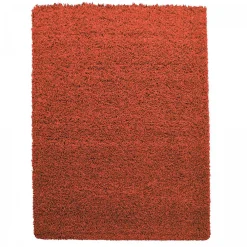 Unamourdetapis Tapis poils longs shaggy tissé motif uni UNI L, Terra* Tapis Uni