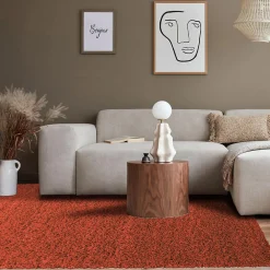 Unamourdetapis Tapis poils longs shaggy tissé motif uni UNI L, Terra* Tapis Uni