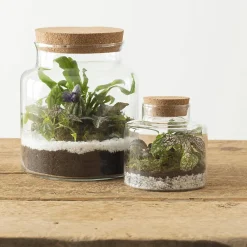 Sale Atmosphera Créateur D'Intérieur Terrarium - verre - H21 cm - Atmosphera