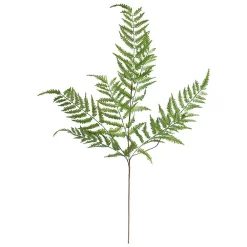 Sale Atmosphera Créateur D'Intérieur Tige fougère artificielle James vert H90cm - Atmosphera